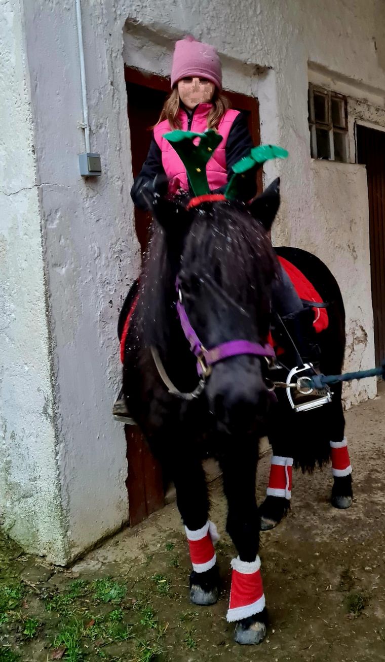 Der Nikolaus auf dem Ponyhof Bauer