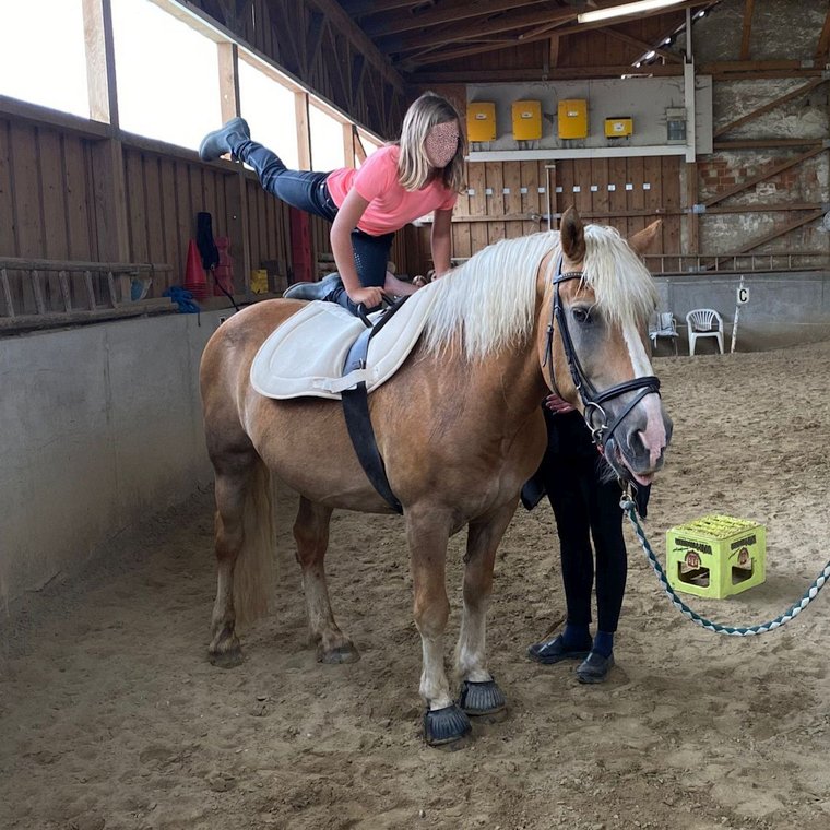 Ponytag August 2023 - Aufsitzen zum Pony-Reiten in der Halle