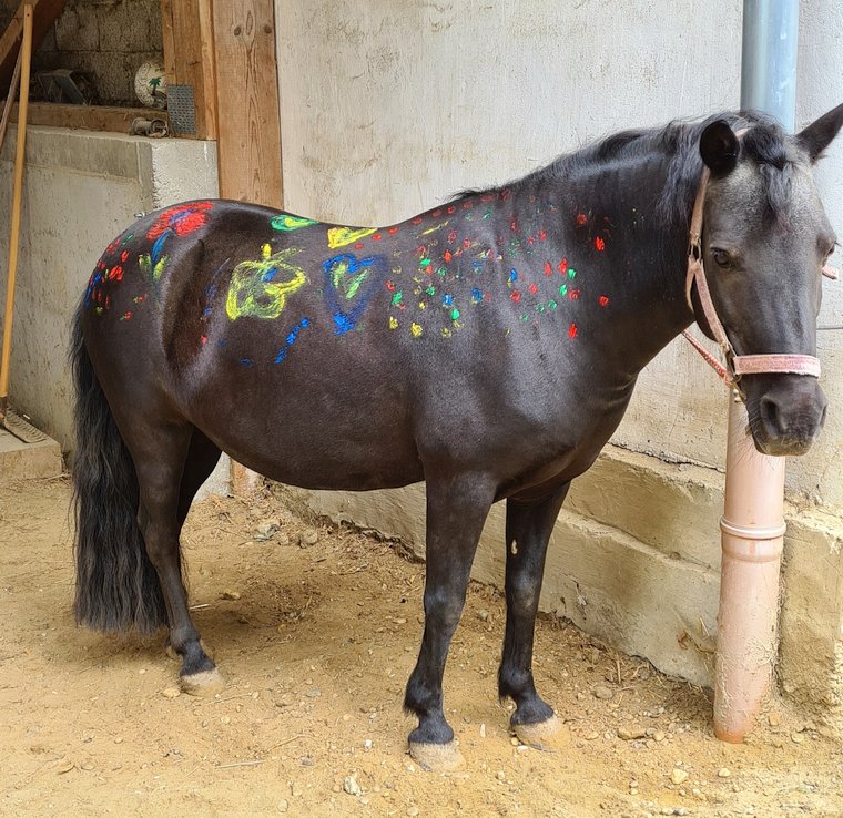 Ponytag August 2023 - Pferdebemalen - Freicka