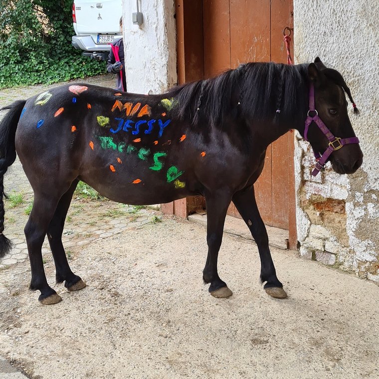 Ponytag August 2023 - Pferdebemalen - Jessy