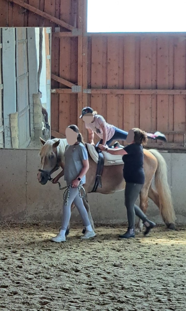 Ponytag August 2025