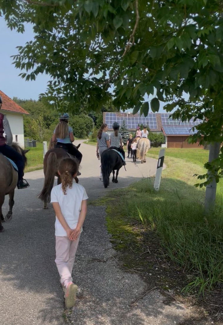 Ponytag August 2025