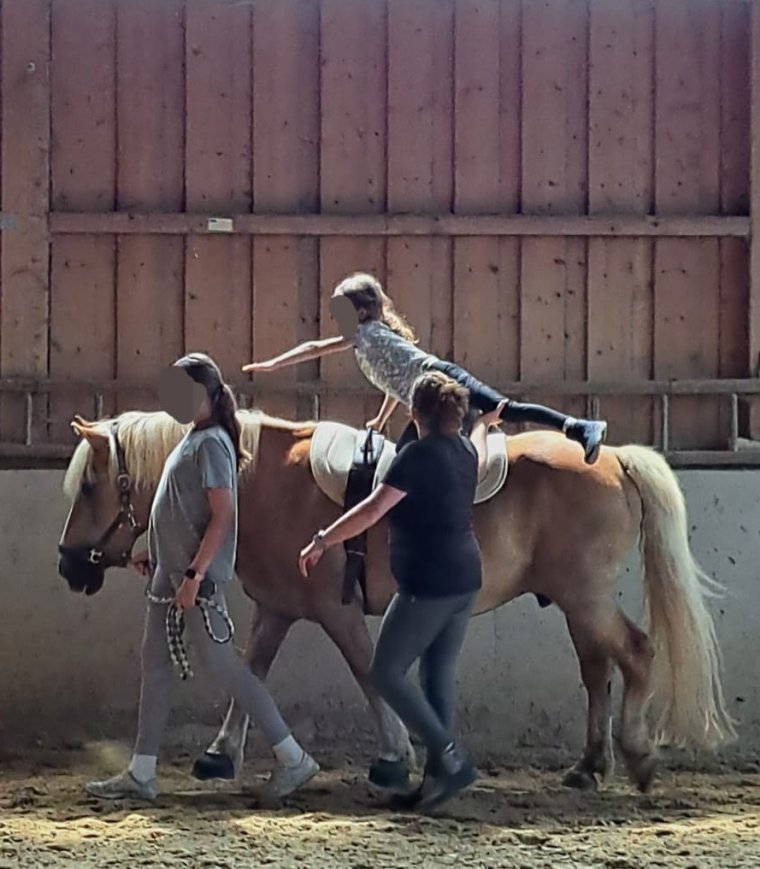 Ponytag August 2025