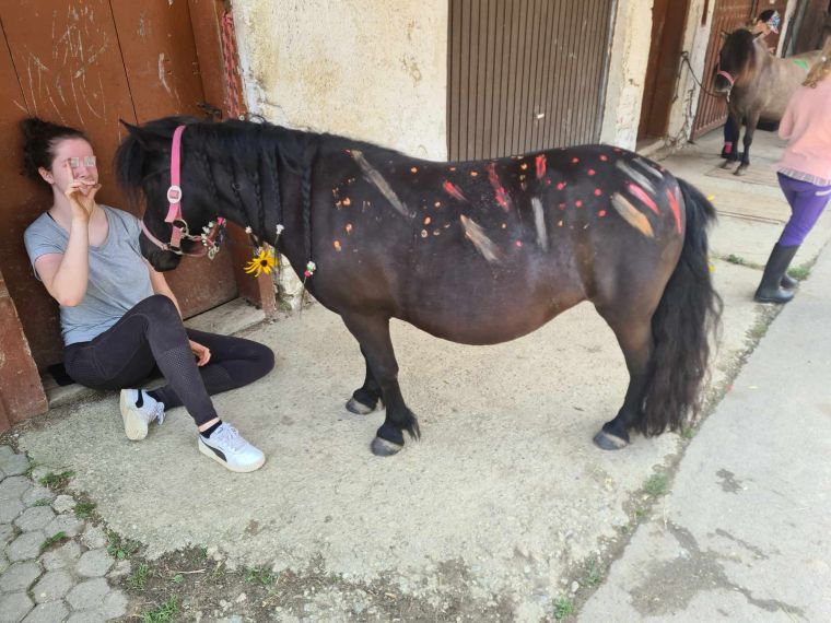 Ponytag August 2025