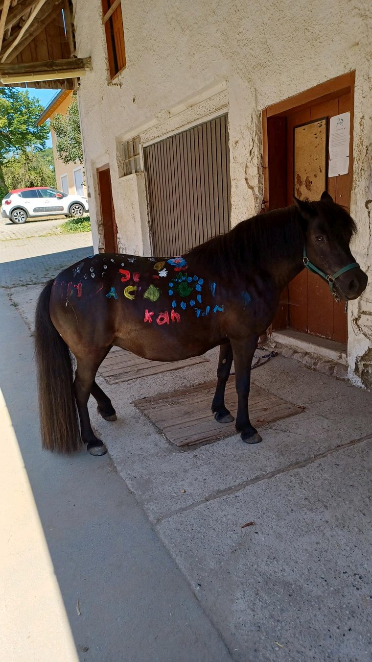 Ponytag August 2022 - Anmalen der Pferde